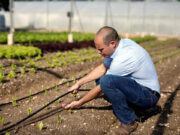 Israel calls for more support to unlock potential of foreign-trained farm experts