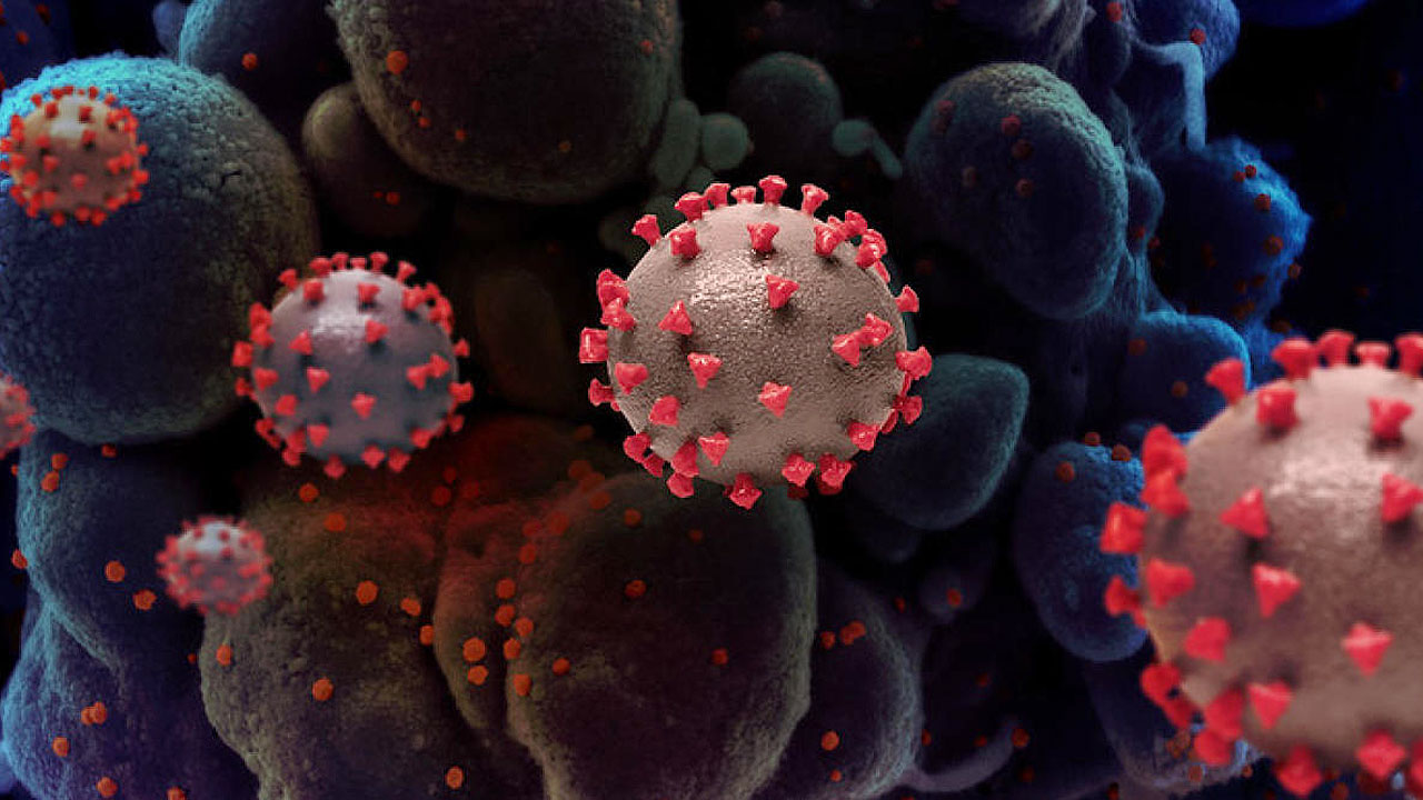 corona-virus