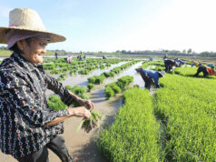 Jobless rate hits 3-year high in July