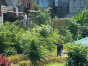 Baguio moves to avert urban decay with stricter permits