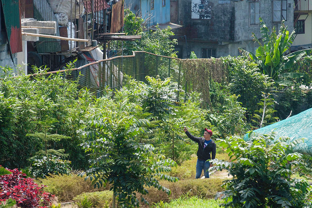 Baguio-Irisanpark-houses-BAGUIO-CITY-PIO