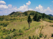 House seeks Masungi dev’t probe