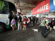 Senator calls for reconsideration of new provincial bus scheme