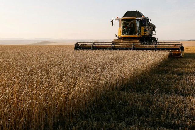 Russia-harvests wheat