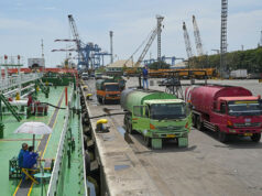 Food protectionism in play as Indonesia palm export ban starts