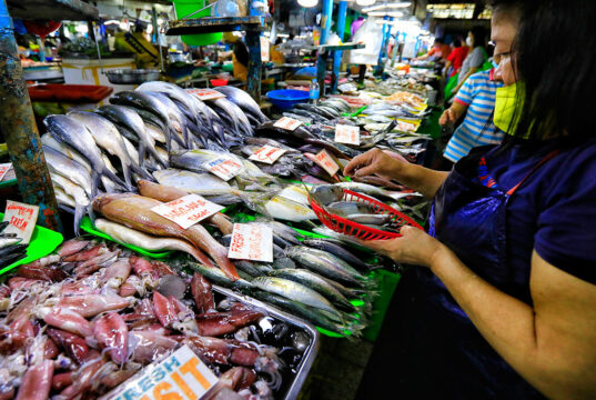 Philippine inflation slows more than expected in November
