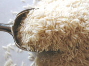 In RTL, economists have had their economic ‘laboratory’