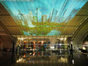 Rising from the marshes