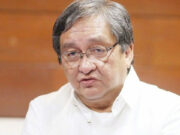 Boxers performance in SEAG ‘impressive,’ says Picson