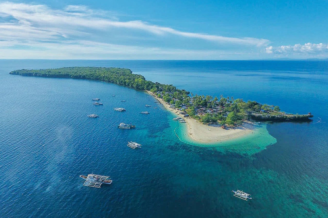 Camotes-TulangDiot-SANFRANCISCOCAMOTES.GOV.PH