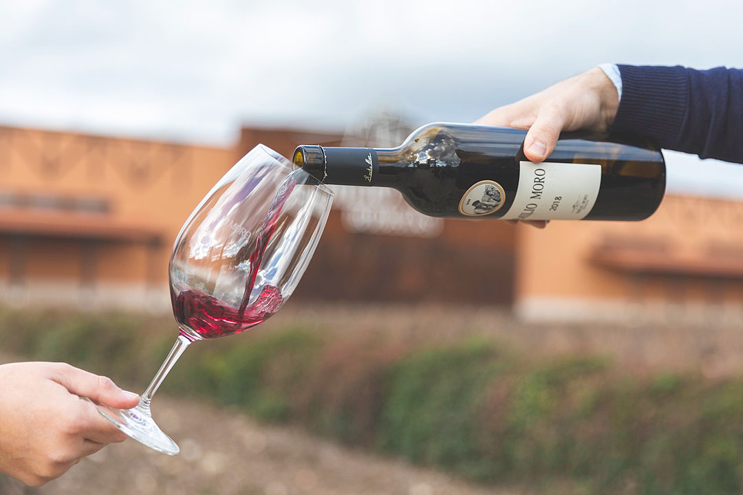 Emilio-Moro-Winery