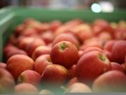 PHL fresh fruit imports seen rising 25% this year – USDA