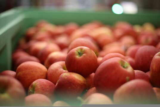 PHL fresh fruit imports seen rising 25% this year – USDA