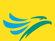 Cebu Pacific apologizes to VP Robredo over baseless claim by pilot