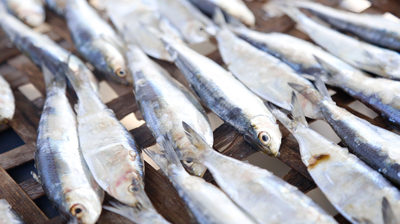 Driedfish-DTI.GOV.PH