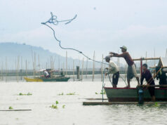 Fisheries output drops 7.5% in Q3 on typhoon damage to aquaculture