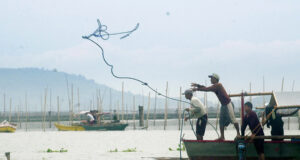 Fisheries output drops 7.5% in Q3 on typhoon damage to aquaculture