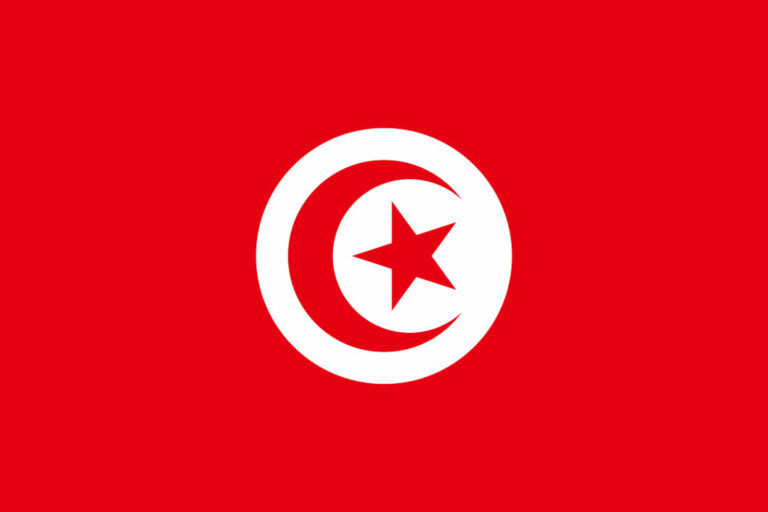 Tunisia military prosecutors investigate journalist for ‘harming public order’