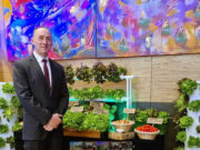 How to maintain a balance between luxury and sustainability