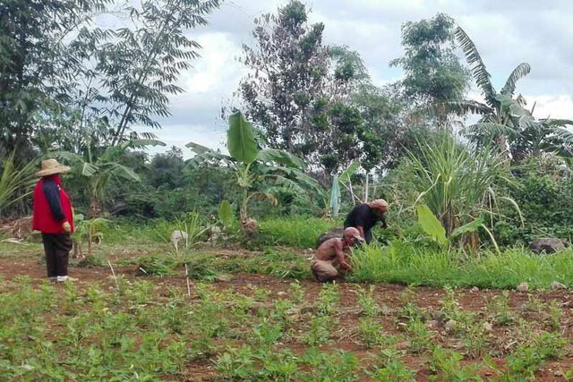 farmers