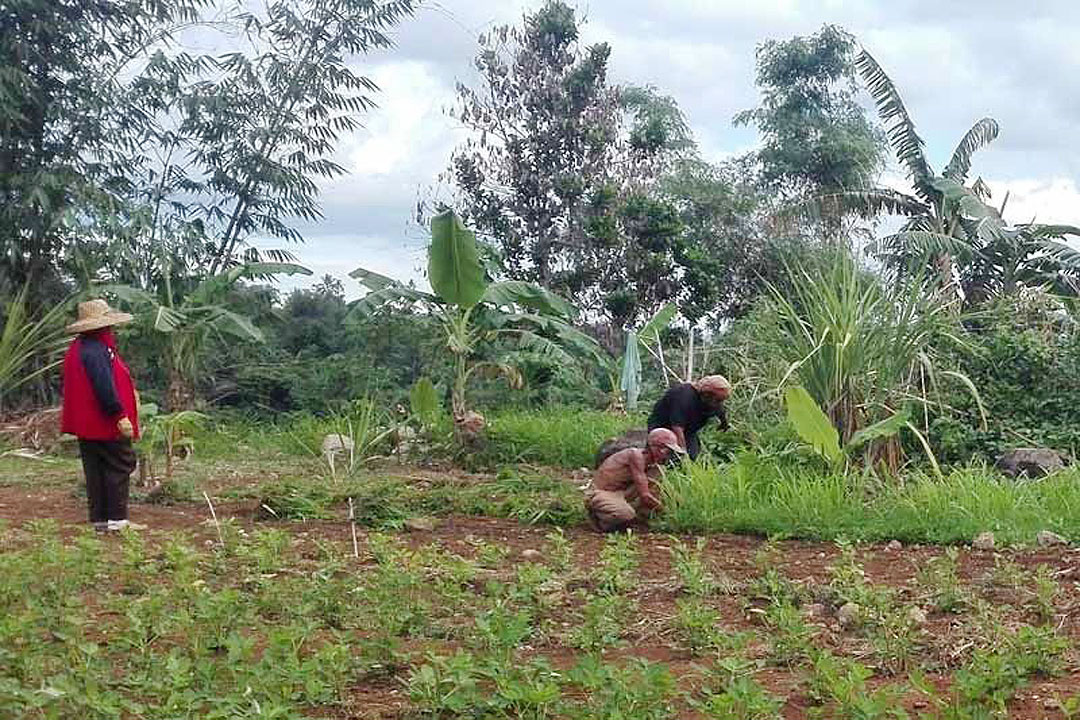 farmers
