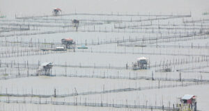 Agri output likely fell in Q3 led by fisheries; ASF concerns continue