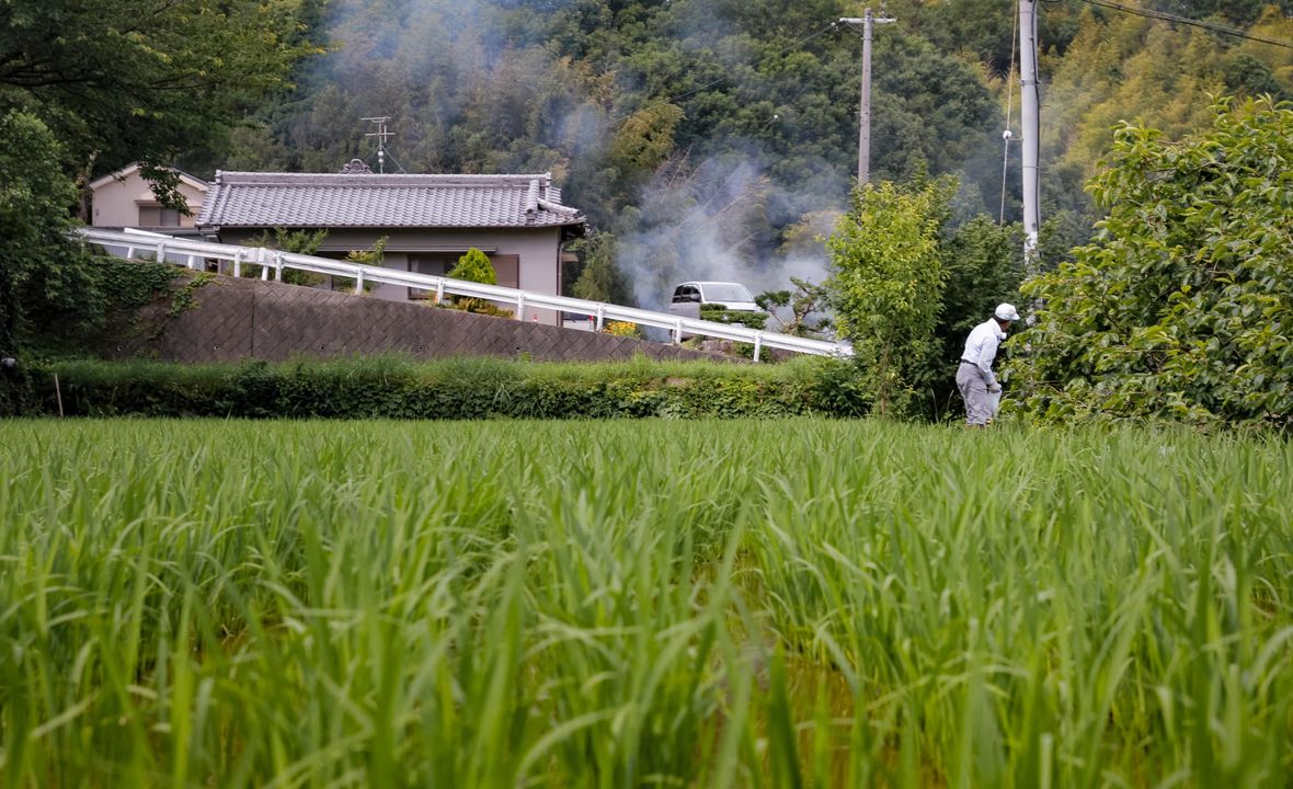 japan-farming