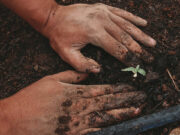 MPIC, CCC vow climate action