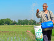 Oct. set as arrival target for fresh fertilizer shipments