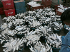 Diokno wants local gov’t units to tap Mandanas funds for agriculture