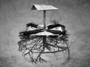 Silverlens to open in NY