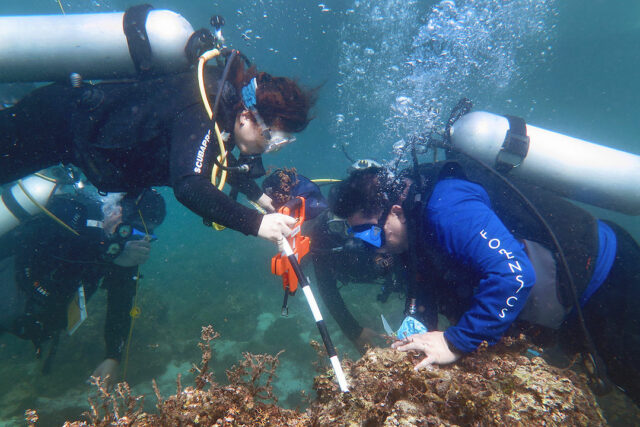 Underwater-Crime-Scene-Investigation-and-Law-Enforcement--US-EMBASSY-HANDOUT-PHOTO