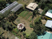 Calling all plantitos and plantitas: The examples of Bataan, Pasig, and Batangas