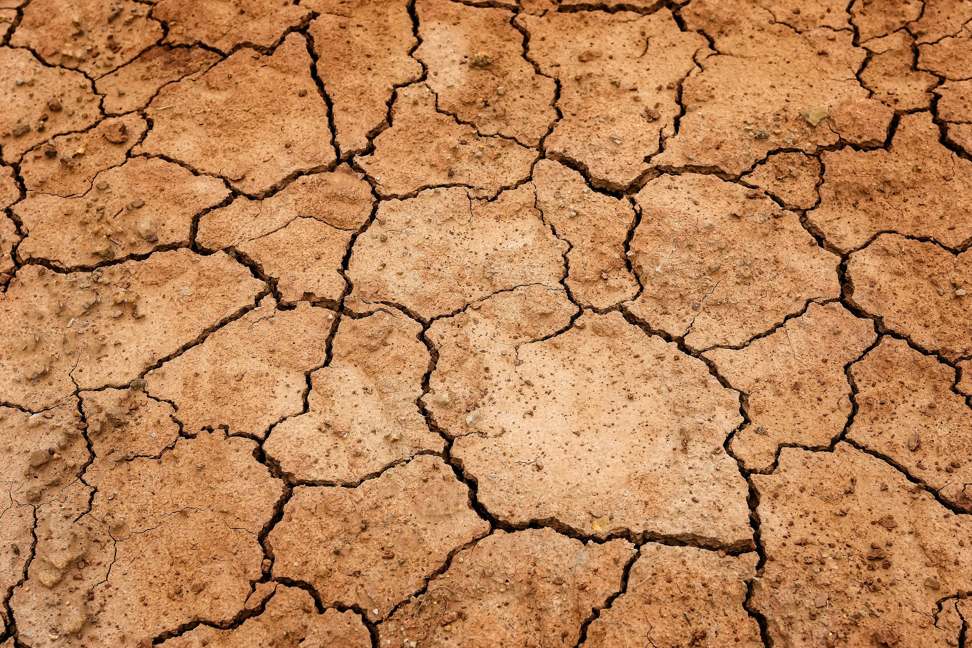 drought-dry-land