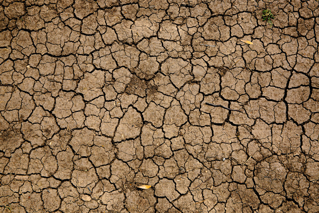 dry land