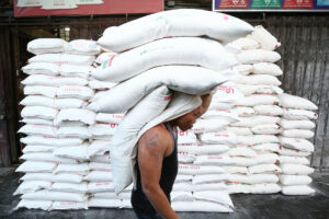 Global rice prices hit highest level in 15 years