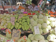 Agricultural output likely shrank in Q2