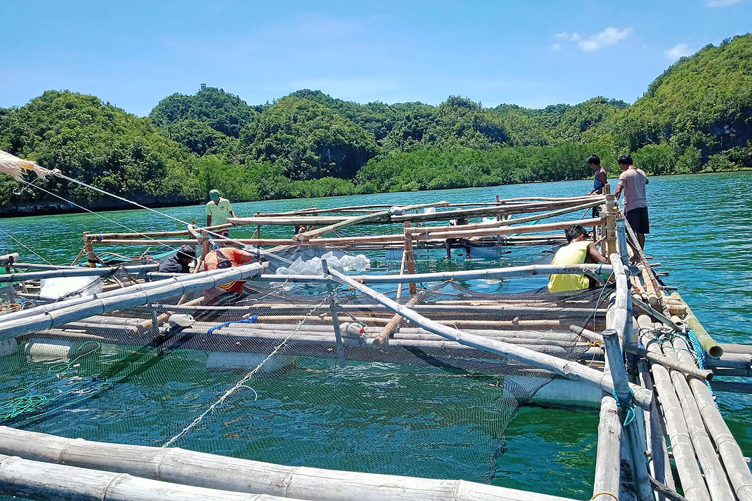 Fishfarmers-Bohol-BFAR.DA.GOV.PH