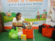 Stuff to do (08/19/22)