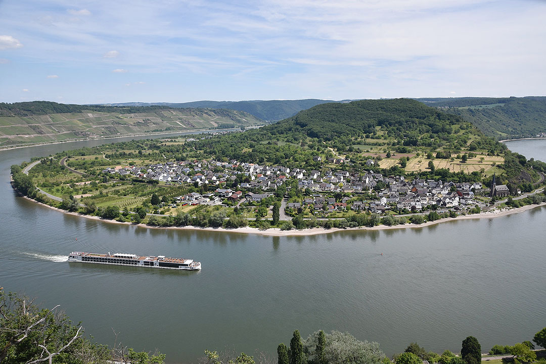 The Rhine River At Boppard With The Bopparder Hamm