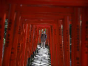 Japan’s economy unexpectedly shrinks as hot inflation takes toll