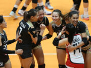 HD Spikers seek revenge vs sister team Power Hitters