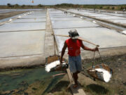 Legislation to revive salt industry goes before TWG