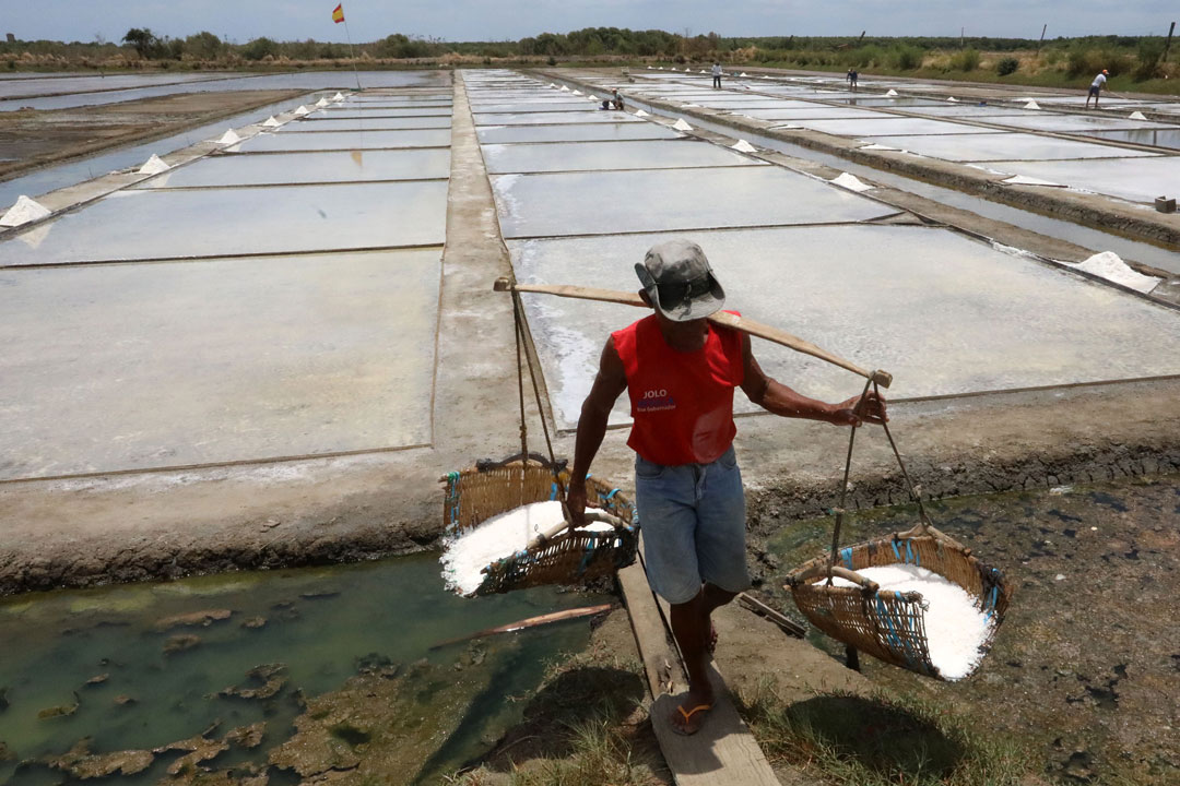 salt-farmer