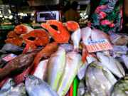 Farm output shrinks in 2nd quarter