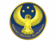 Central bank posts lower net earnings