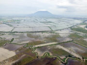 Typhoon Karding agricultural damage assessment continues to rise, now at P3.12B