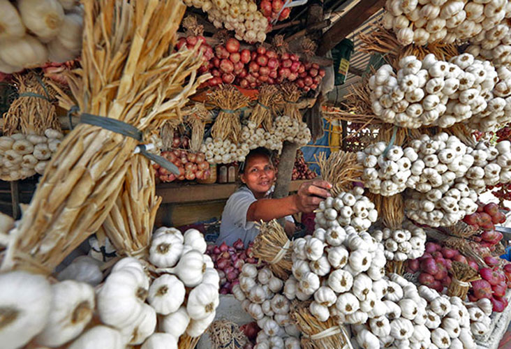 Garlic-Vendor-1