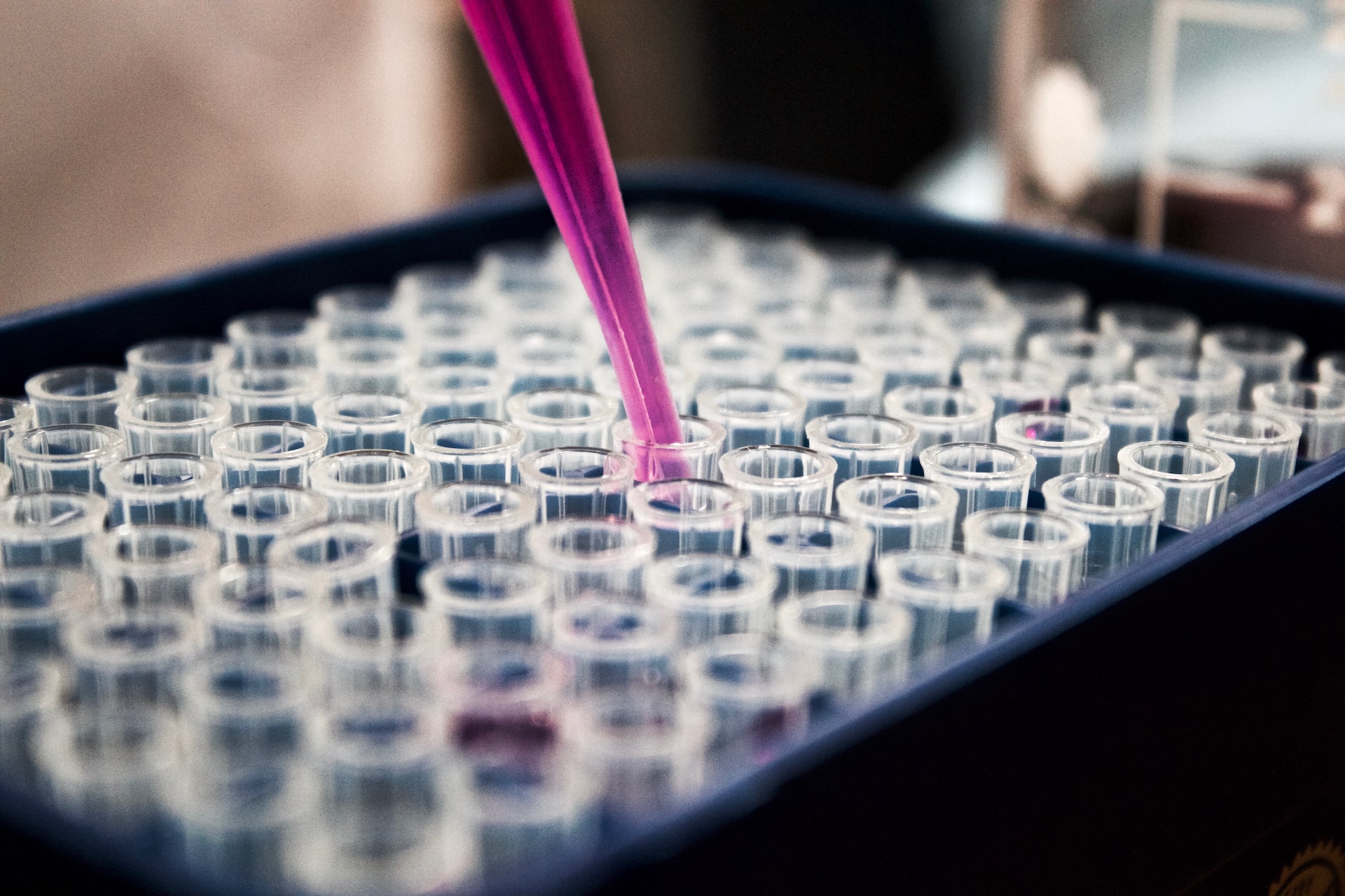 Purple Pipette-laboratory