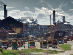 Victorias Milling income up 2.3% on lower costs